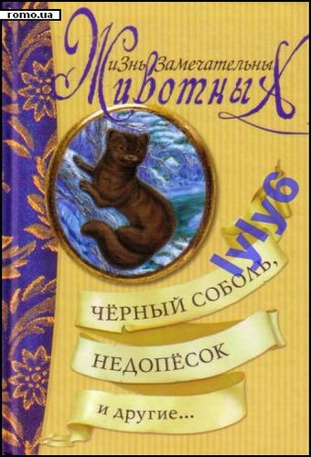 Девочка и дельфин, приключе...