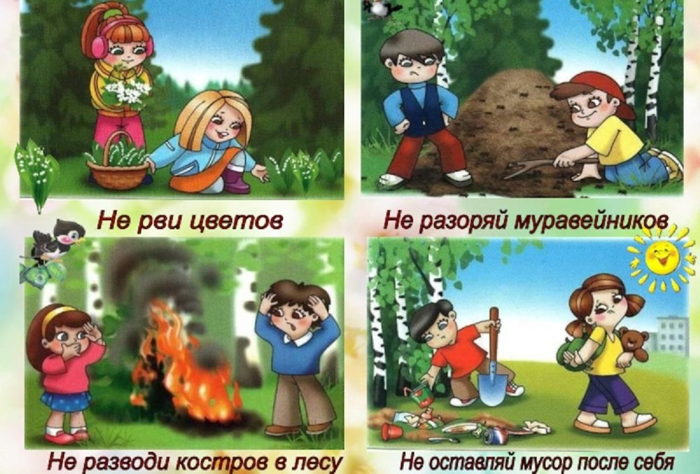 Правила поведения в лесу