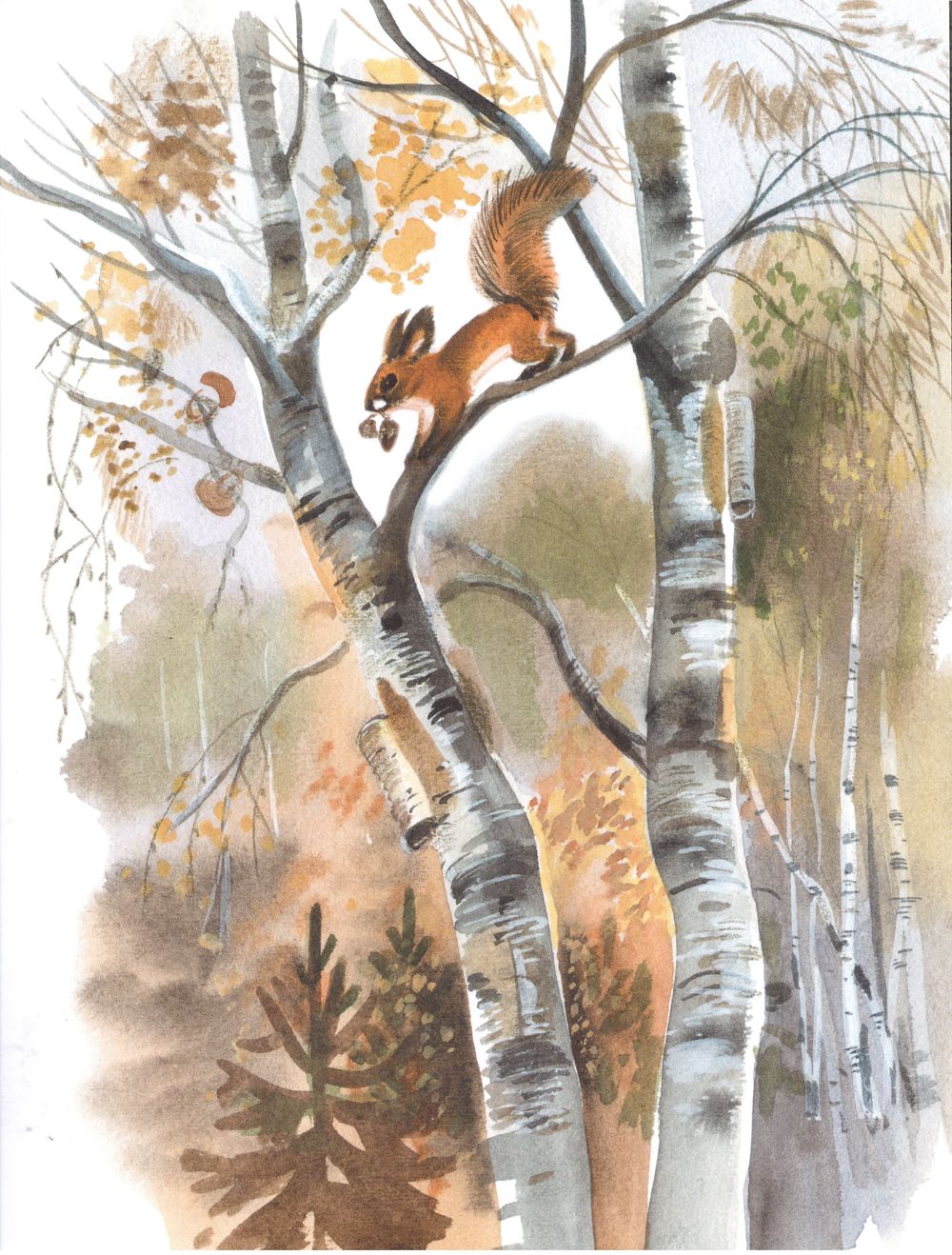 Межрегиональная Акция «Почитаем вместе книги М. М. Пришвина о природе России»