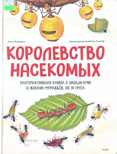Королевство насекомых