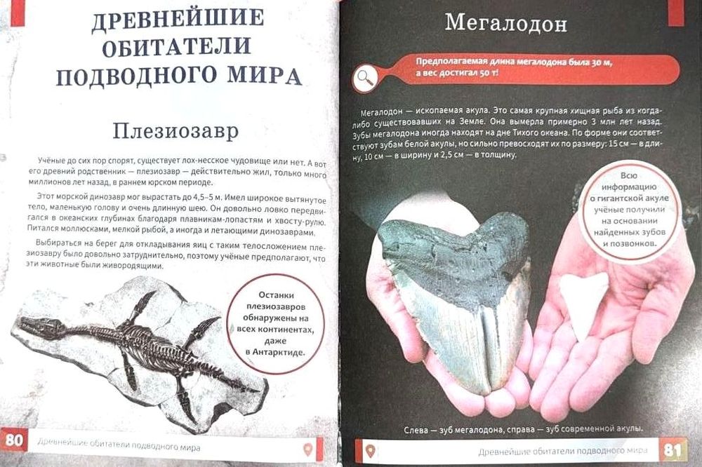 Древнейшие обитатели подводного мира