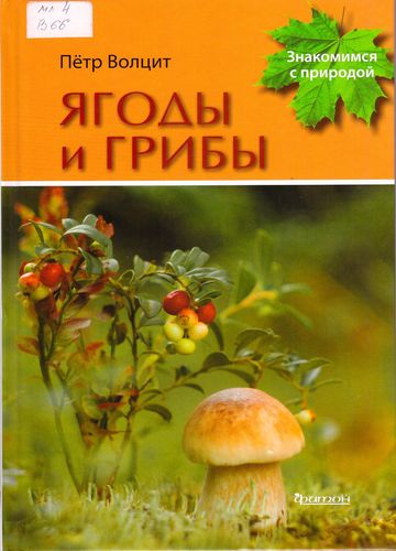 Ягоды и грибы