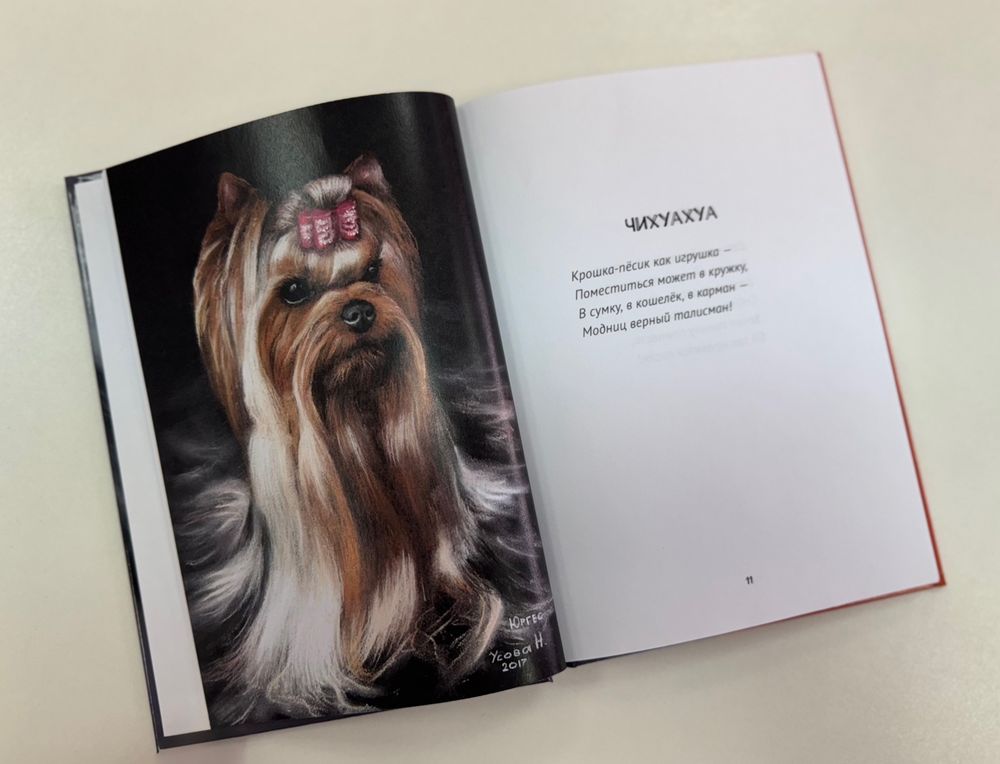 Разворот книги Усовой Н. Л. «Детская книга»